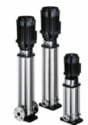 Bơm trục đứng - CNP